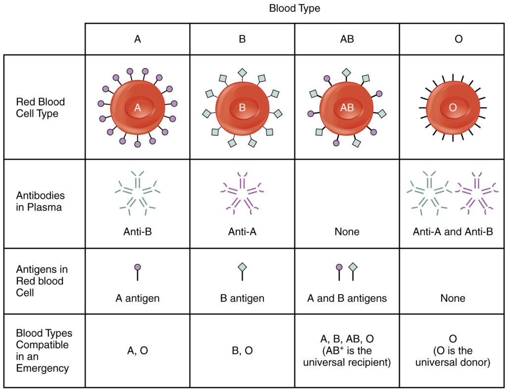 Tabla de compatibilidades de sangre