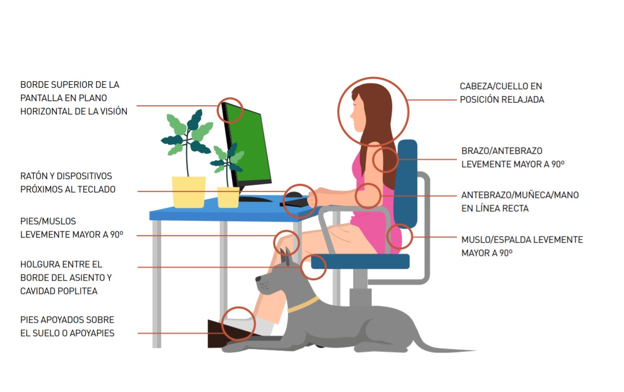 postura ideal sentada